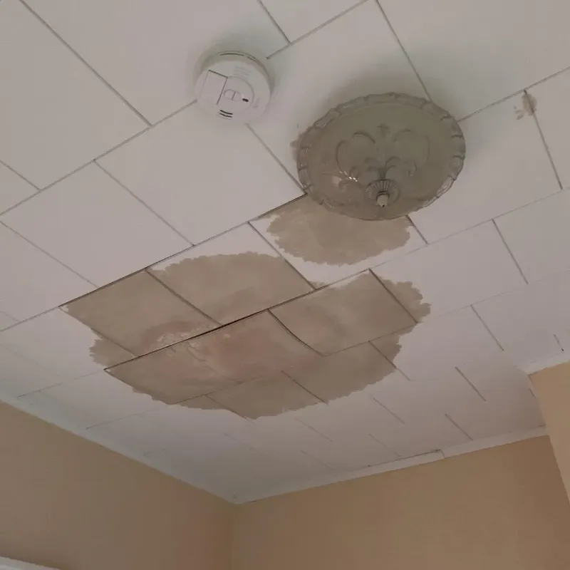 Ceiling Water Damage Repair in Jonesville, NC