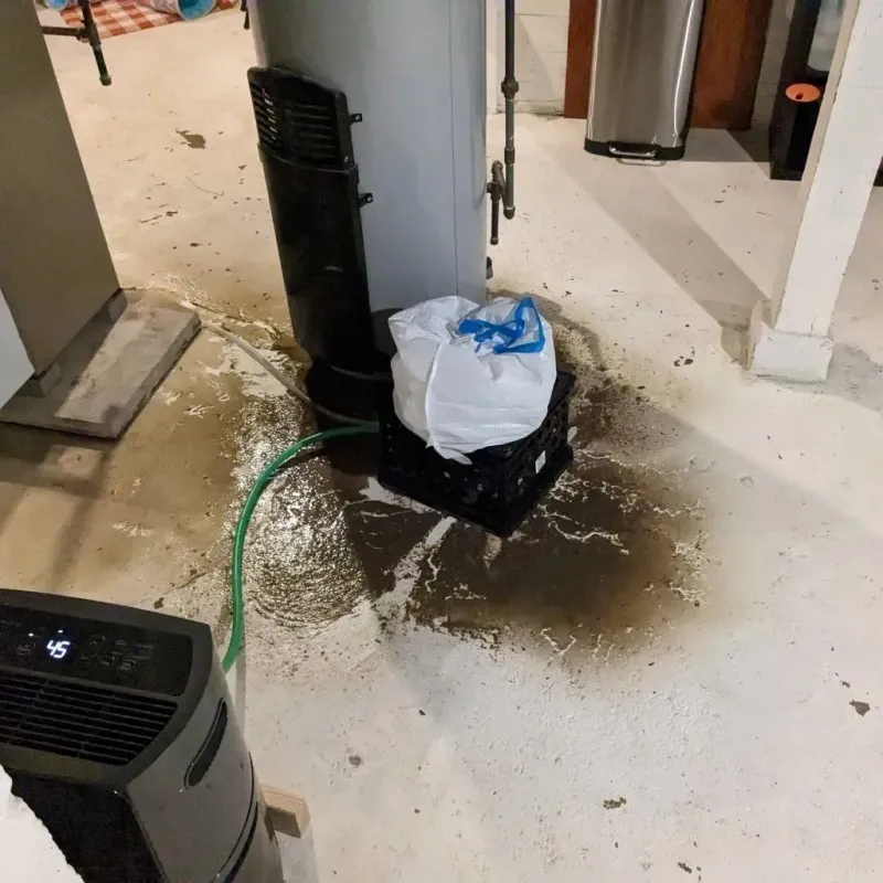 Sewage Backup Cleanup Service in Jonesville, NC